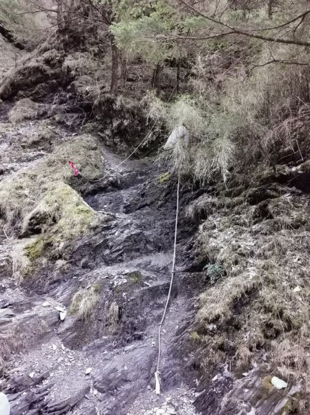 奇萊東稜 - 山行者終究得跨過的障礙866619