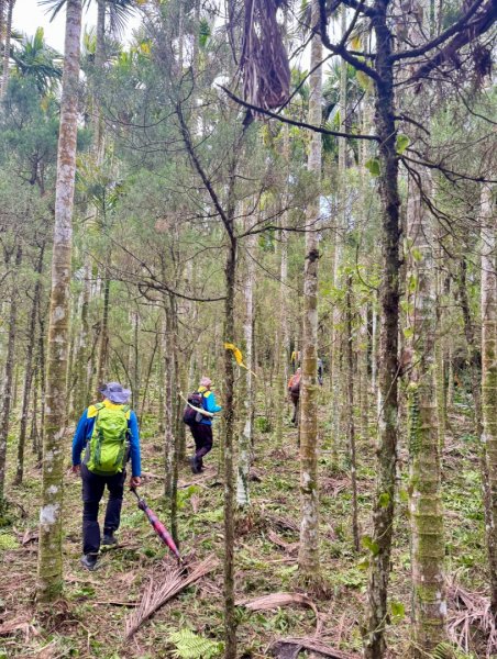 太元宮-關西玉山前-玉山/南柯山-東獅頭山-赤柯山南峰-赤柯山-太元宮 O繞2958084