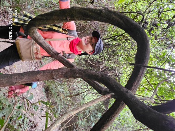 【谷關七雄】波津加(H1771.6m)肉腳配速成功2670530