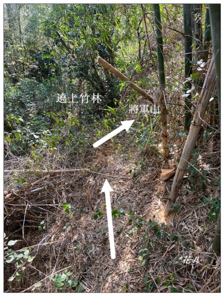 將軍山 (苗栗市)2691227