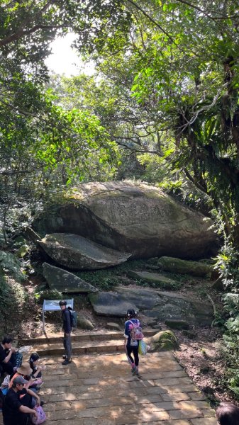 2025草嶺古道2970589