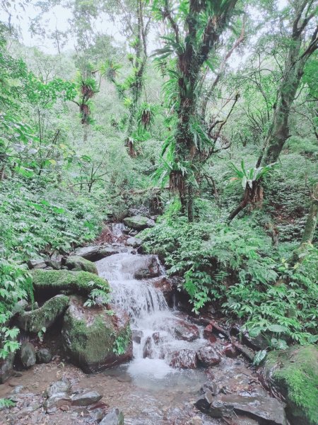 2021-12-26_三角崙山+聖母山莊(宜蘭抹茶山)1563621