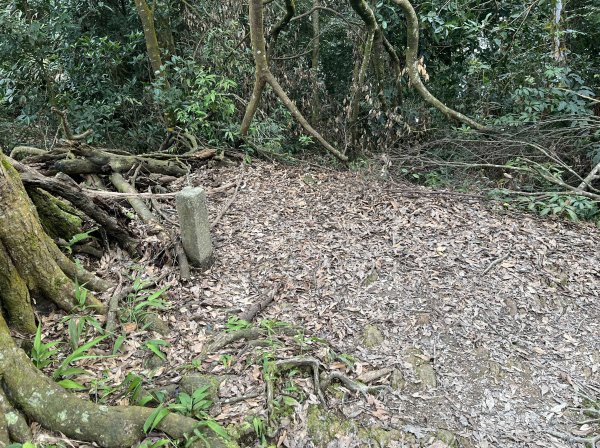 [屏步青雲 尋寶任務-02/10] 2024_0916 尾寮山登山步道2597391