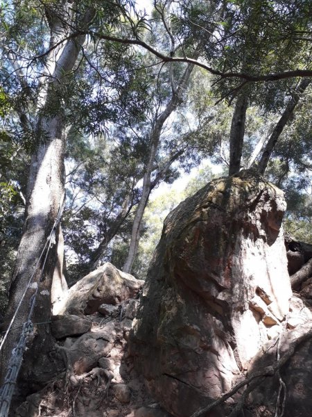 台中大坑步道7上6下20181027444589