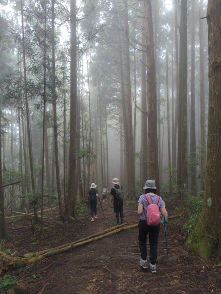 2025.07.05－高島縱走2828187