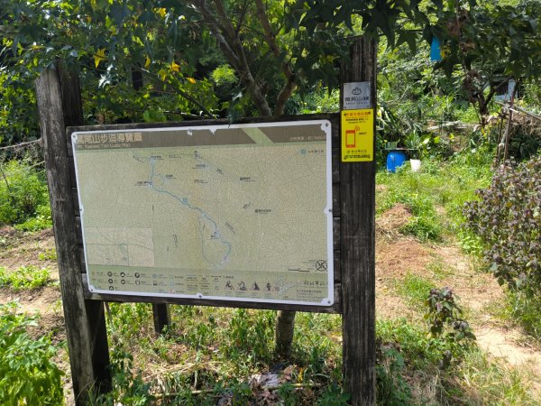 20250824鳶山彩壁2868547