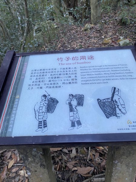 馬崙山11202103059274