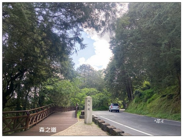 大塔山 (小百岳最高峰)2773168