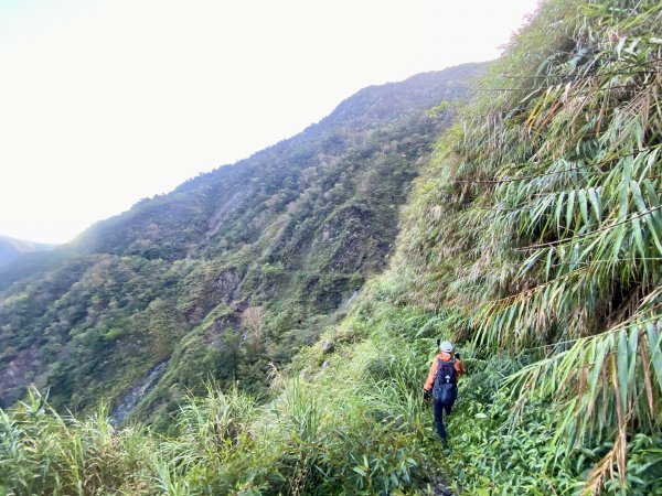 小鬼湖林道登亞泥笛山    2022/2/251622549