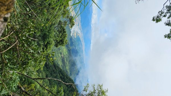 【暑假停課不停走】解鎖第49座小百岳#093都蘭山2822536