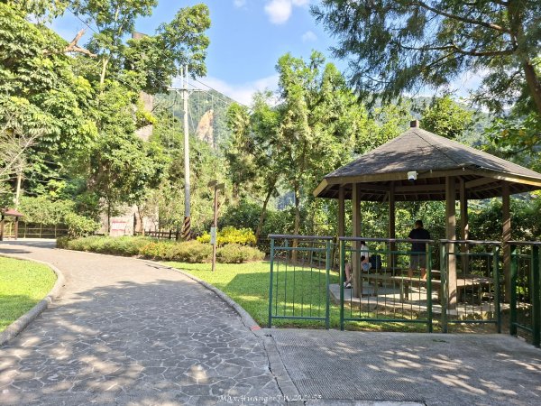 《南投》瀑布茶園｜竹山瑞龍瀑布步道及山坪頂茶山七星步道202609273124248