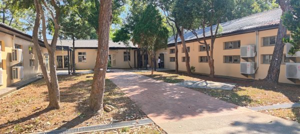 大湳森林公園2910974