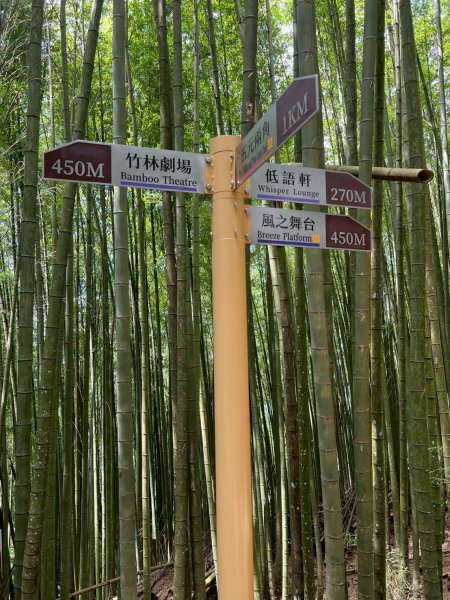 嵐山再古坑。五元兩角 木馬古道2806155