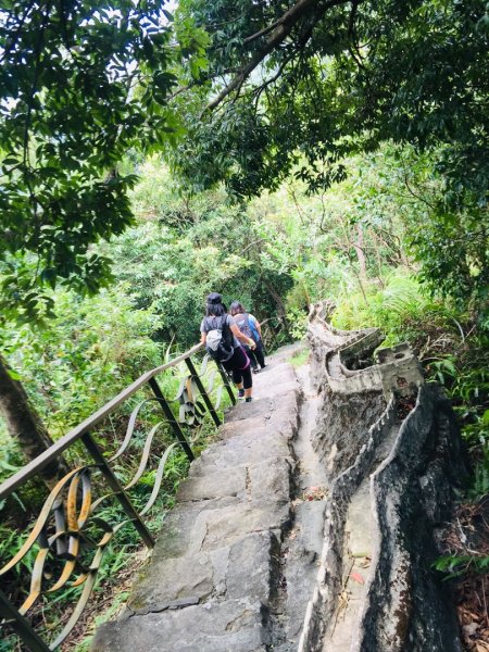 健行筆記淨山（鯉魚山）653907