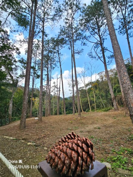 20260105高遶溪古圳步道P走+羅浮泡腳2977844