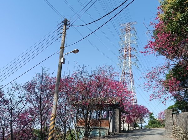 霧峰八德巷登山步道(至296峰)2443423