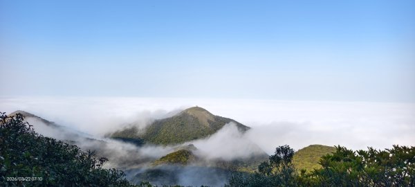 #大屯山 #雲海 3/223019607