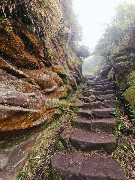 2025臺北大縱走第三段：小油坑至風櫃口2973455