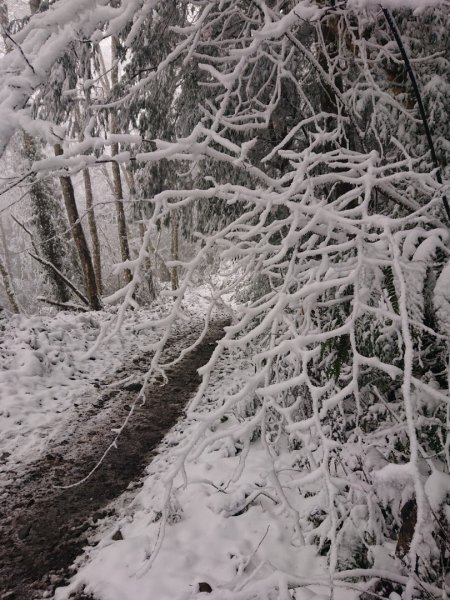 冰雪奇緣歷險記～加羅湖（未盡）1237664