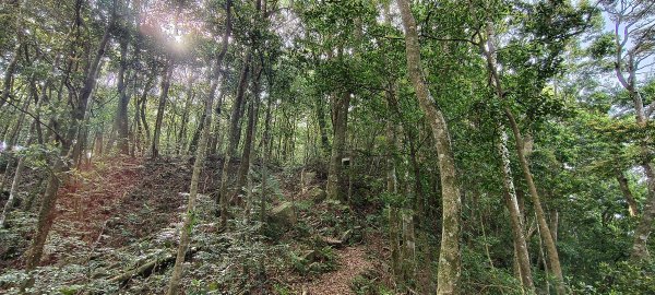 2025/05/01-凌空廊道上李崠山2775477