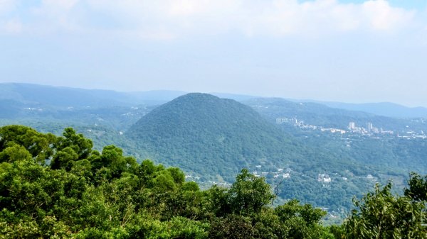 中正山3134360