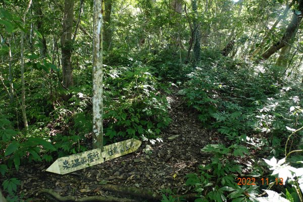 南投 仁愛 再生山(安達山)1913666