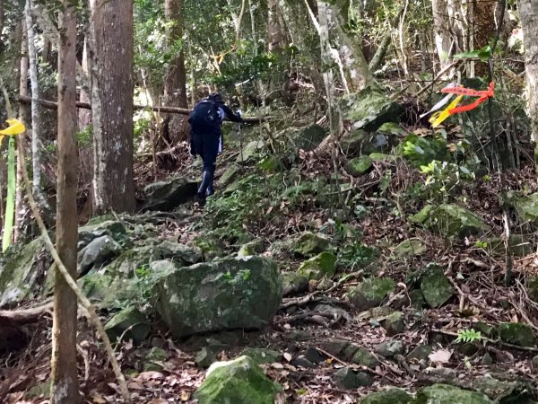 上山下谷哈堪尼山環走台車道628853