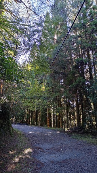 榛山景觀平台2918093