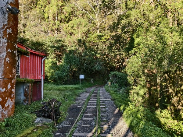 [百山百鳥尋旅-12/15] 2025_0928 特富野古道2899592