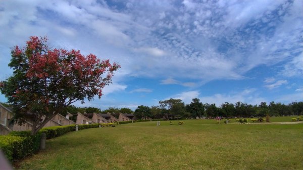 台中都會公園20181013封面