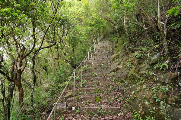 新北 平溪 薯榔尖、石筍尖、魔神仔洞2772531