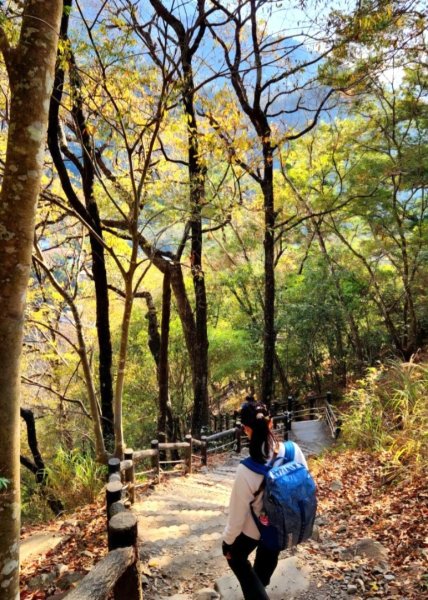 【中級山】谷關七雄波津加山2742307