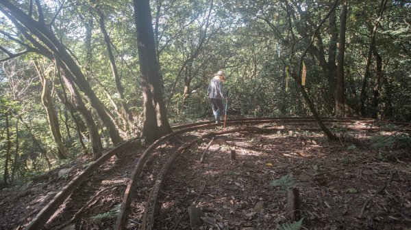 周朝南館長兒時上學路｜烏塗窟古道＆一通坑巡禮2554342