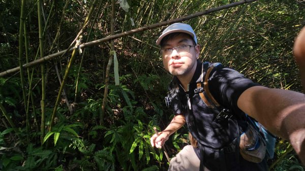 20250723大坑山-深按頭山西峰-334峰-三層崎山2845337