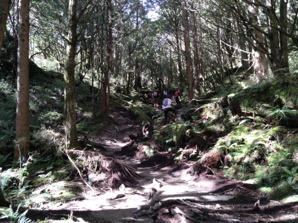 20230723塔關山2232890