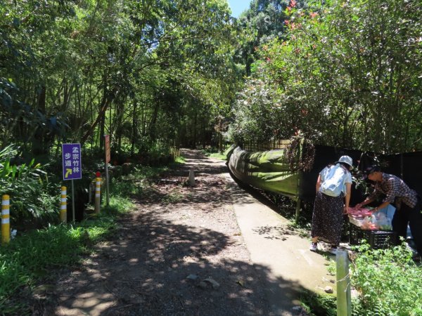 小半天孟宗竹林古戰場+長源圳生態步道Ｏ形2877850