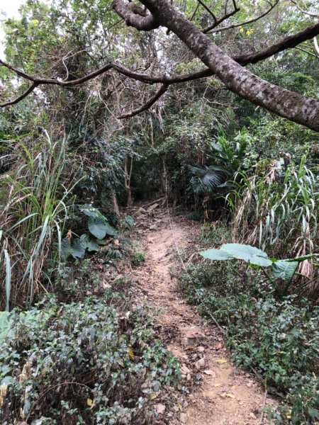 烏山步道北段入口雲山寺走刣牛湖山往返507999