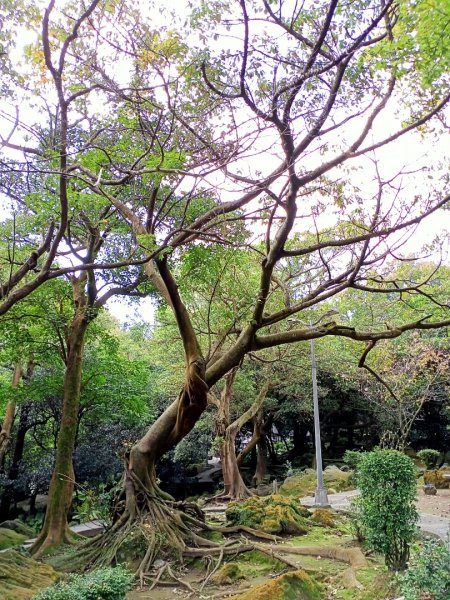 秋遊翠峰瀑布天母古道白雲瀑布前山公園1147585