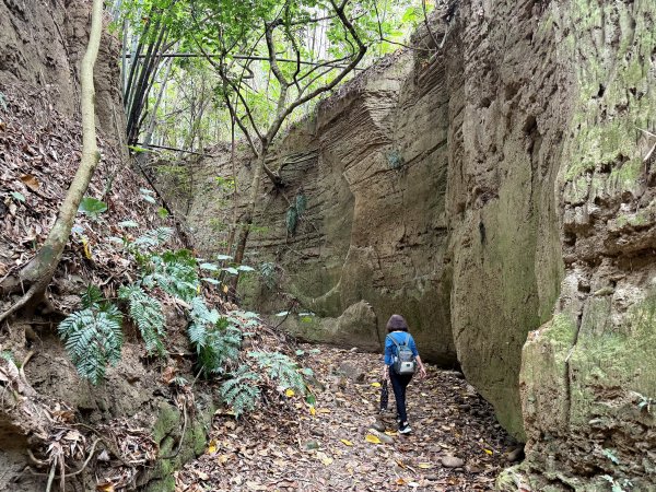 彰化車站-一線天-賞鷹平台O繞封面