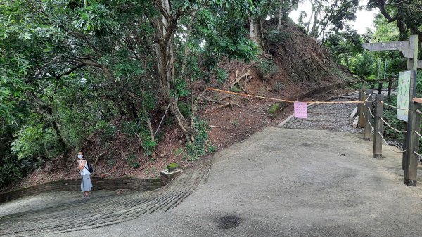 《台中》步道三剩一｜台中新田2號步道202108151436745