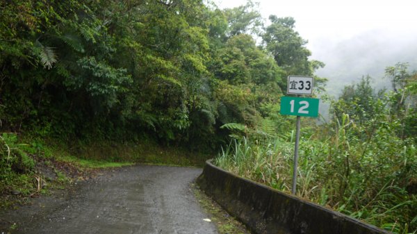 古魯林道登山健行趣(步道)1657608