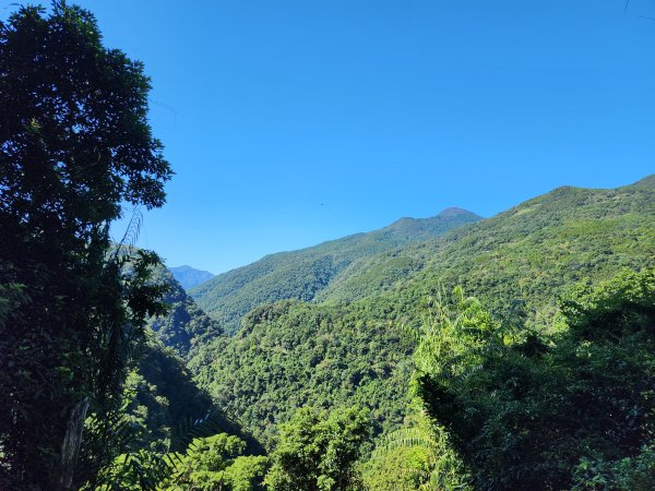 新北烏來｜內洞國家森林遊樂區步道群2904743