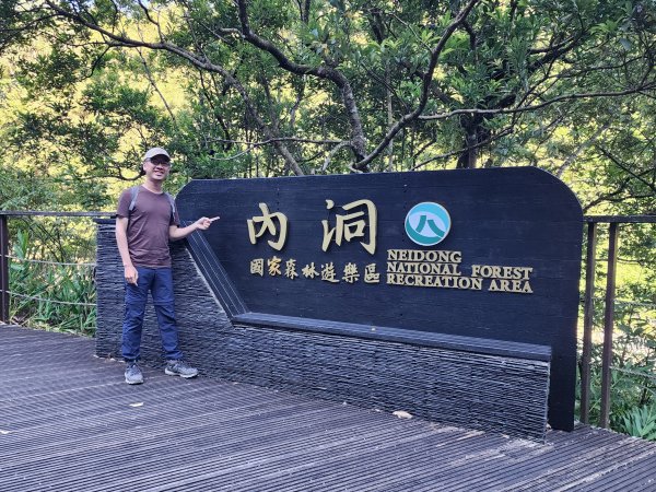 新北烏來｜內洞國家森林遊樂區步道群2904729