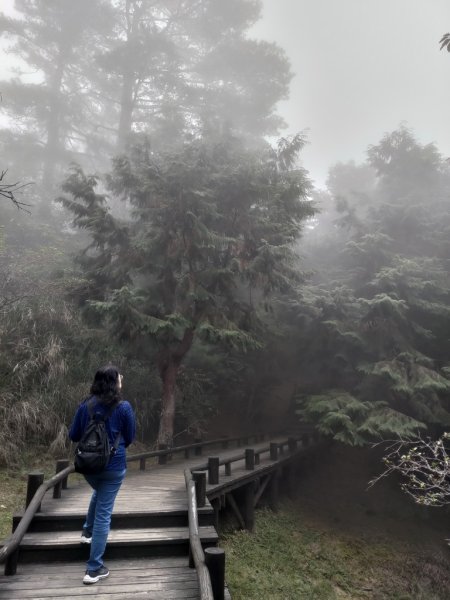 【新竹縣五峰鄉】雲霧步道2833752