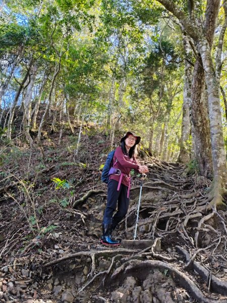 高島縱走202502152713770