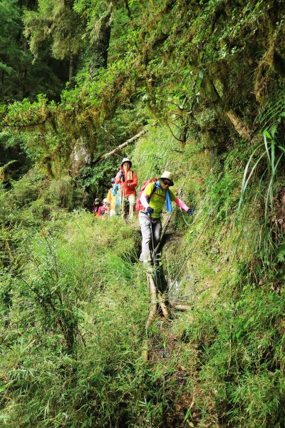 走過天險之路~合歡越嶺古道順登卯木山172215