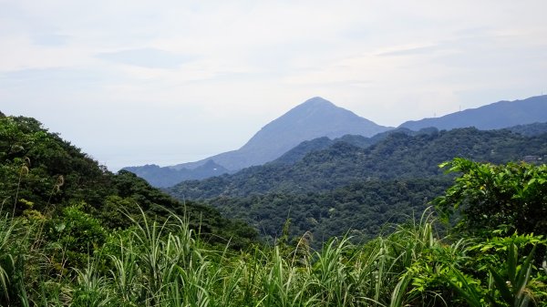 滴水子產道1737586