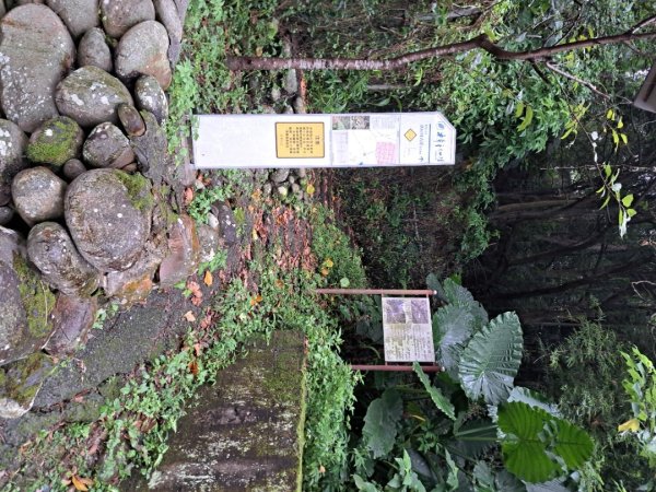 2026樟之細道：清水坑古道-伙房崎古道-大牛崎古道3111861