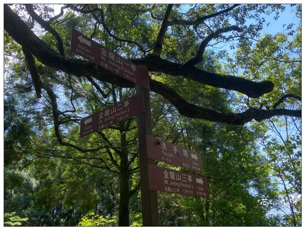 槌仔寮山、槌仔寮山西南峰、金龍山步道 連走2846693