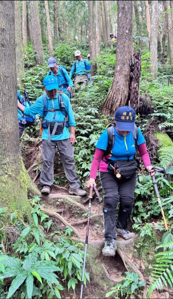 光天高山 - 向天湖山(小百岳32) 小O一圈2876940